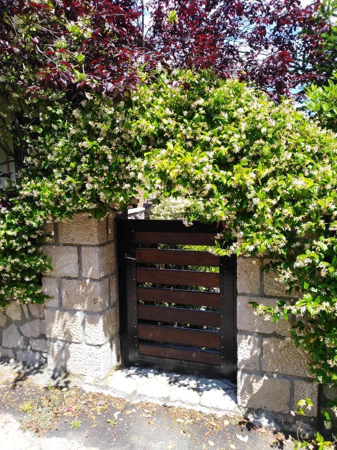 Dryas Guesthouse Polydrossos Exterior photo